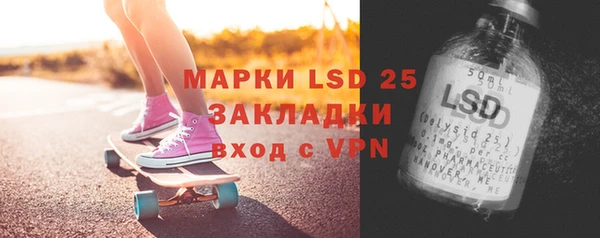 индика Балабаново