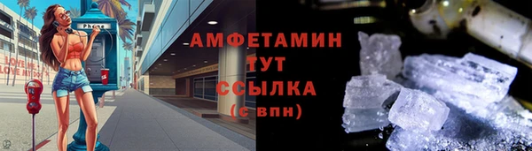 индика Балабаново