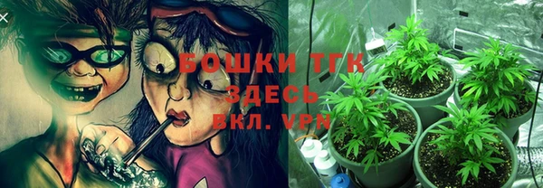 экстази Арсеньев